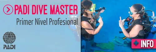 Divemaster - Primer nivel profesional