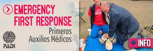 Emergency First Response - Primeros auxilios