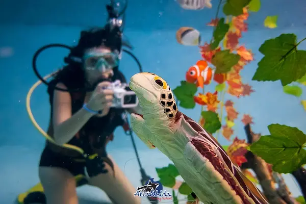 Alumno haciendo el curso de fotografía en pileta y fotografiando objetos